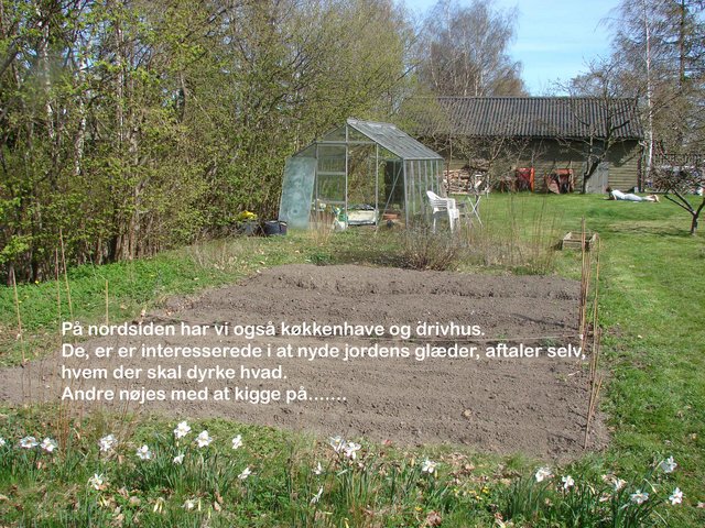 07.jpg