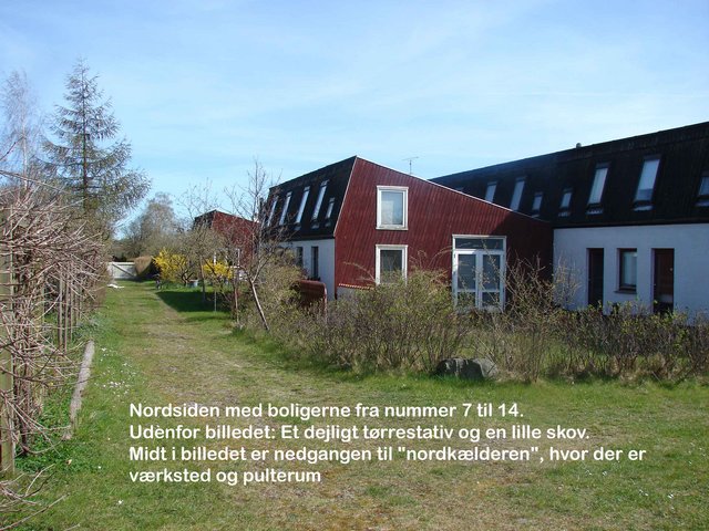 08.jpg